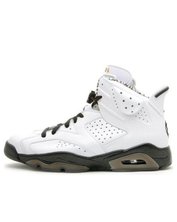 Air Jordan 6 Retro Premium ??Motorsports?? 395866-101