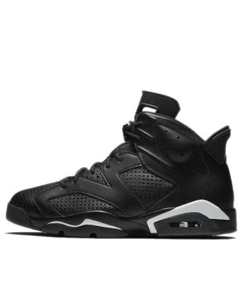 Air Jordan 6 Retro ??Black Cat?? 384664-020