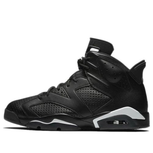 Air Jordan 6 Retro ??Black Cat?? 384664-020